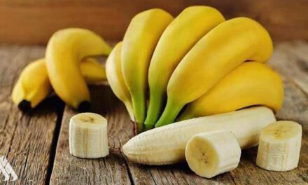 خبراء يكشفون حقائق عن فوائد الموز